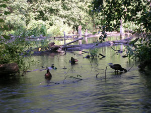 M&uuml;nchen Allach-Untermenzing